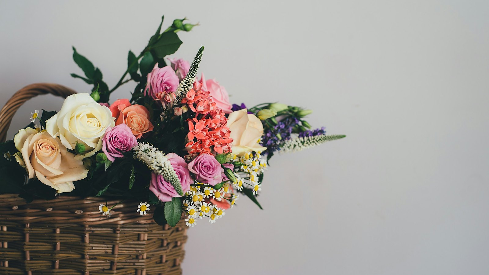 Fleurs coupées présentées en boutique
